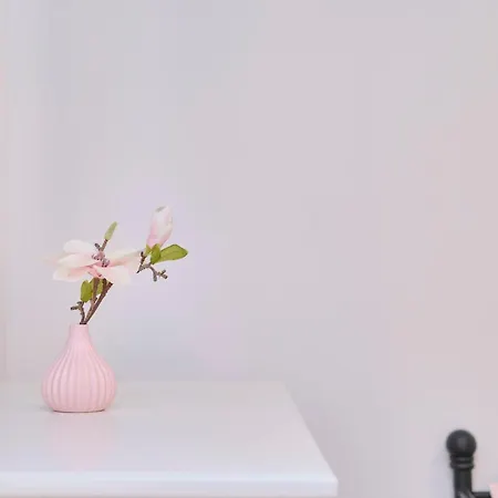 Pax By Litto Daire Split